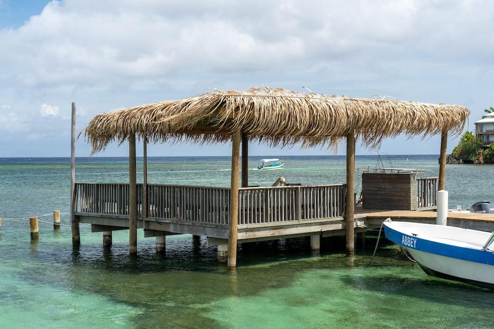 Splash Inn Dive Resort & Villas West End Exterior photo